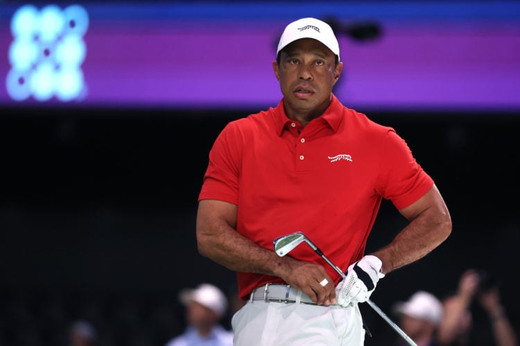 Photo by Megan Briggs/TGL/TGL via Getty Images