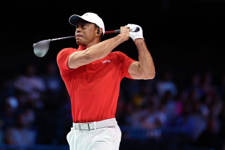 Photo by Megan Briggs/TGL/TGL via Getty Images