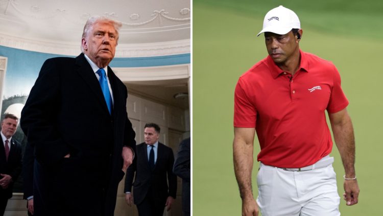 Split image of Donald Trump and Tiger Woods.
