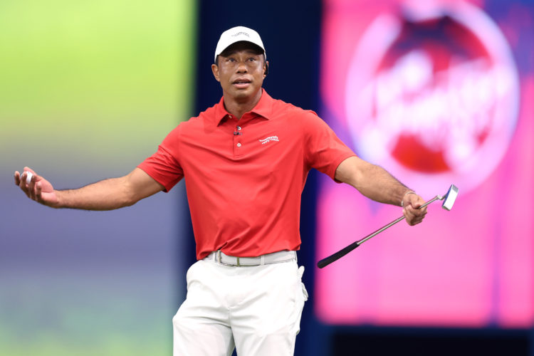Photo by Megan Briggs/TGL/TGL via Getty Images