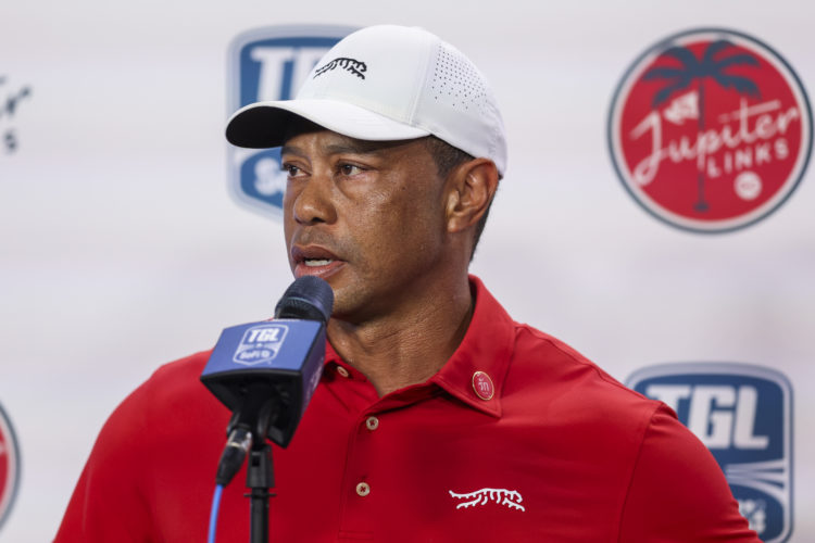 Photo by Megan Briggs/TGL/TGL via Getty Images