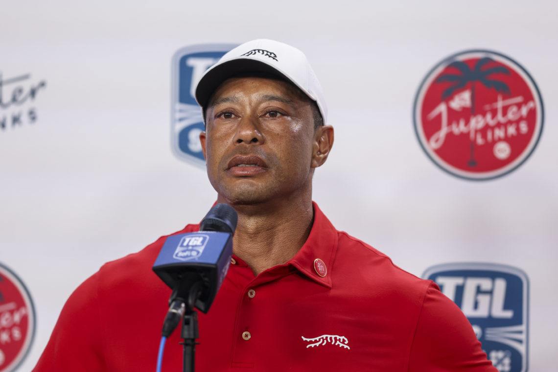 Photo by Megan Briggs/TGL/TGL via Getty Images