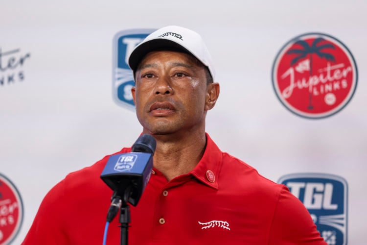 Photo by Megan Briggs/TGL/TGL via Getty Images