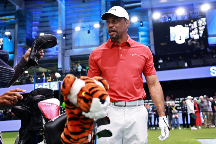 Photo by Carmen Mandato/TGL/TGL via Getty Images