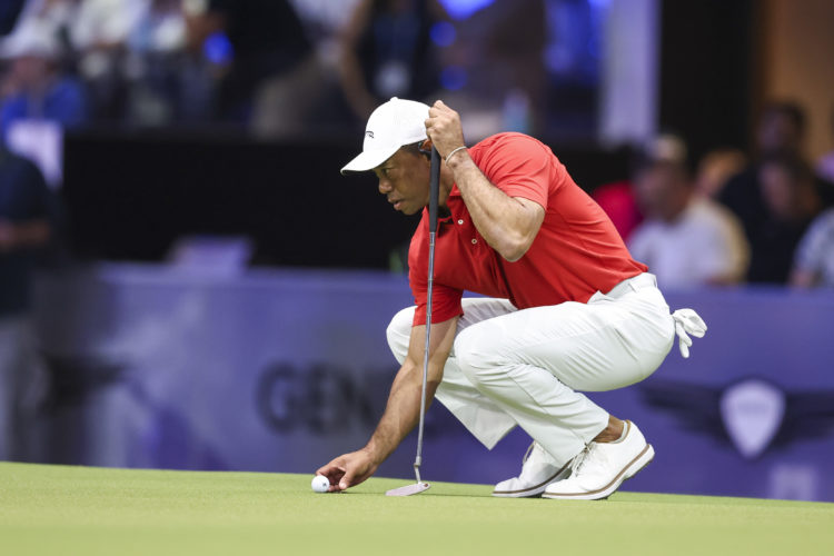 Photo by Megan Briggs/TGL/TGL via Getty Images