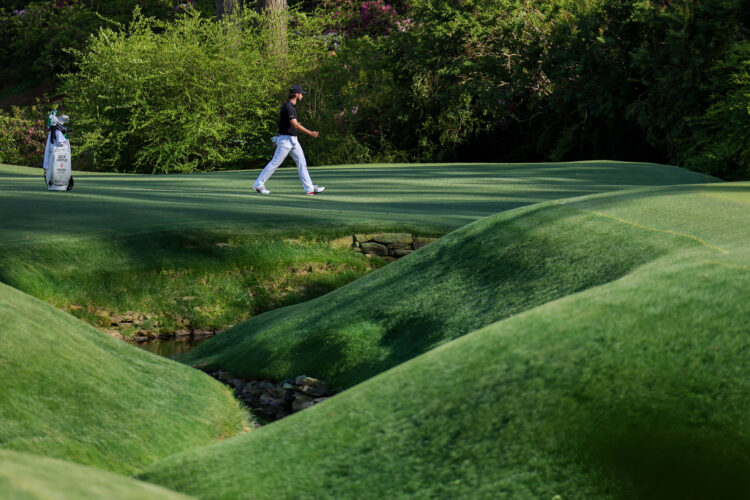 Photo by Andrew Redington/Getty Images